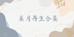 莱月再生合集