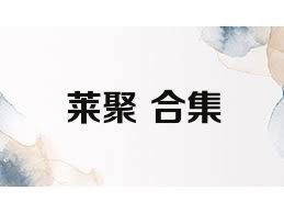 莱聚+合集