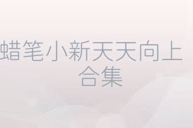 蜡笔小新天天向上合集