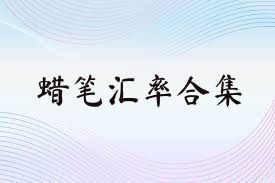 蜡笔汇率合集