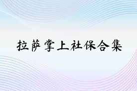 拉萨掌上社保合集