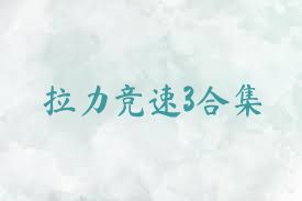 拉力竞速3合集