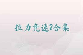 拉力竞速2合集