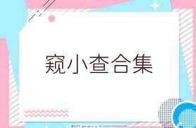 窥小查合集
