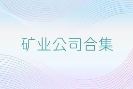矿业公司合集