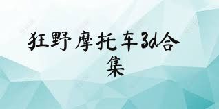 狂野摩托车3d合集