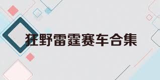 狂野雷霆赛车合集