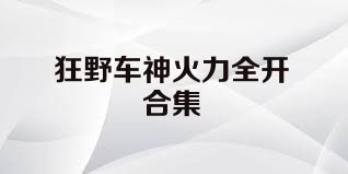 狂野车神火力全开合集