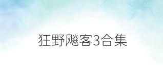狂野飚客3合集