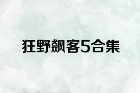 狂野飙客5合集