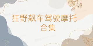 狂野飙车驾驶摩托合集