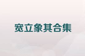 宽立象棋合集