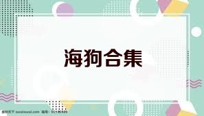 海狗合集