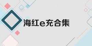 海红e充合集