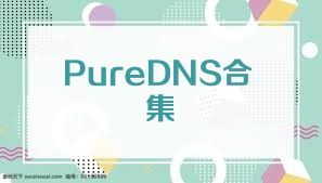 PureDNS合集