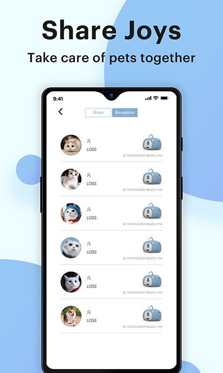 胖丁玩伴Pumpkii1