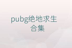 pubg绝地求生合集