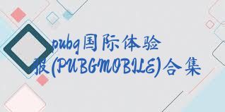 pubg国际体验服(PUBGMOBILE)合集