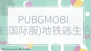 PUBGMOBILE(国际服)地铁逃生合集