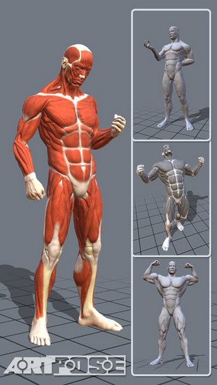 artpose官方2