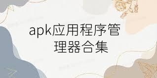 apk应用程序管理器合集