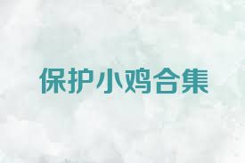 保护小鸡合集