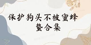 保护狗头不被蜜蜂蛰合集