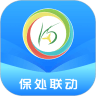 保处联动app