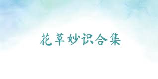 花草妙识合集