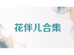 花伴儿合集