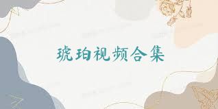 琥珀视频合集