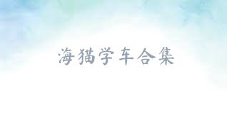 海猫学车合集