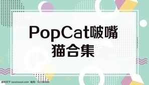 PopCat啵嘴猫合集