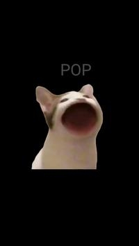 PopCat音乐世界3
