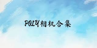 POLY相机合集