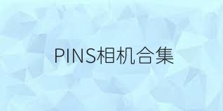 PINS相机合集