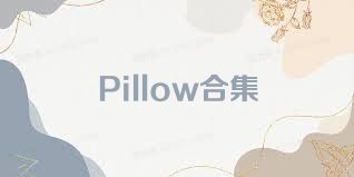 Pillow合集
