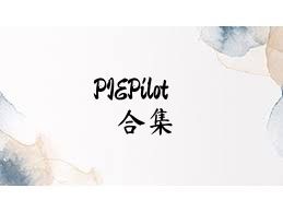 PIEPilot合集