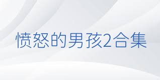愤怒的男孩2合集