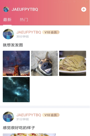 表白妹小卖部官网版2