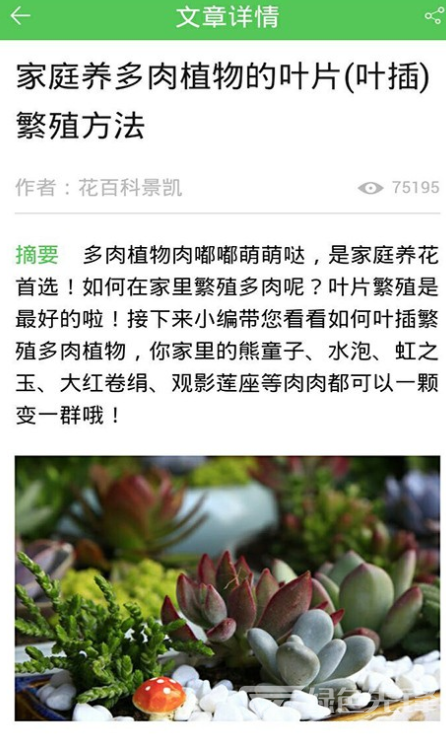 养花大全3