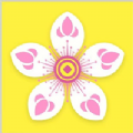 桃花网官网版